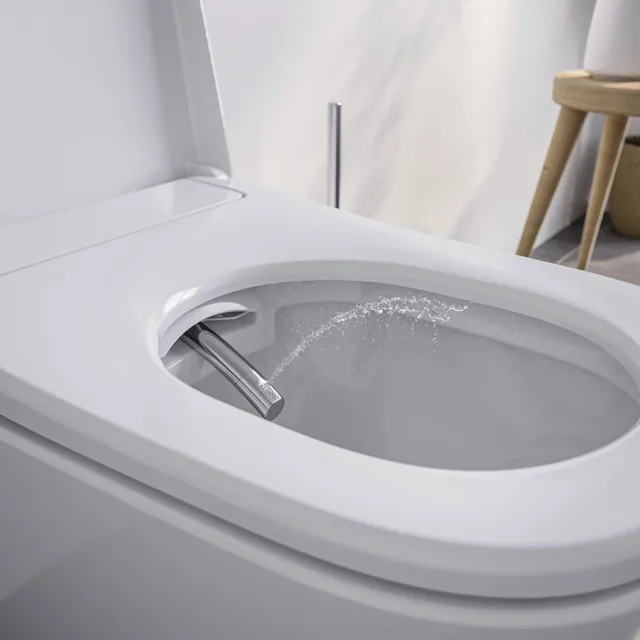BERNSTEIN Basic 1104 (spoelrandloos douchetoilet, wandhangend) – In de badkamer, deksel open (2)