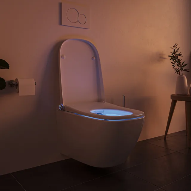 BERNSTEIN Basic 1104 (spoelrandloos douchetoilet, wandhangend) – In de badkamer, deksel open (3)