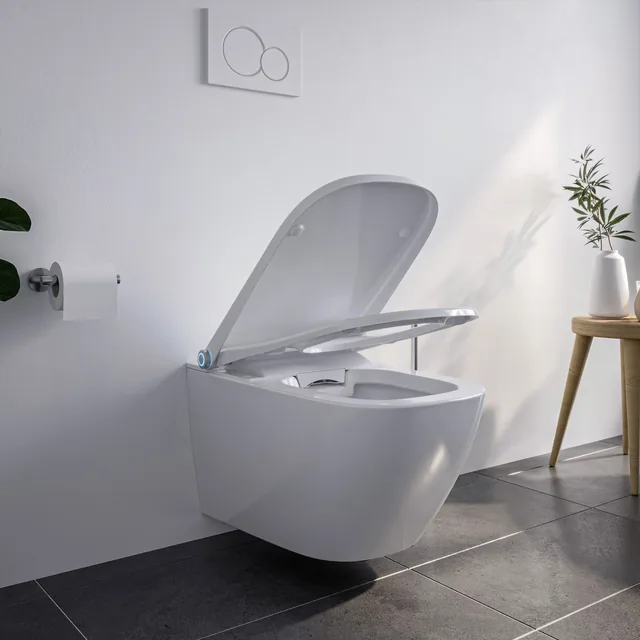 BERNSTEIN Basic 1104 (spoelrandloos douchetoilet, wandhangend) – In de badkamer, deksel open (1)