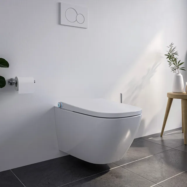 BERNSTEIN Basic 1104 (spoelrandloos douchetoilet, wandhangend) – In de badkamer