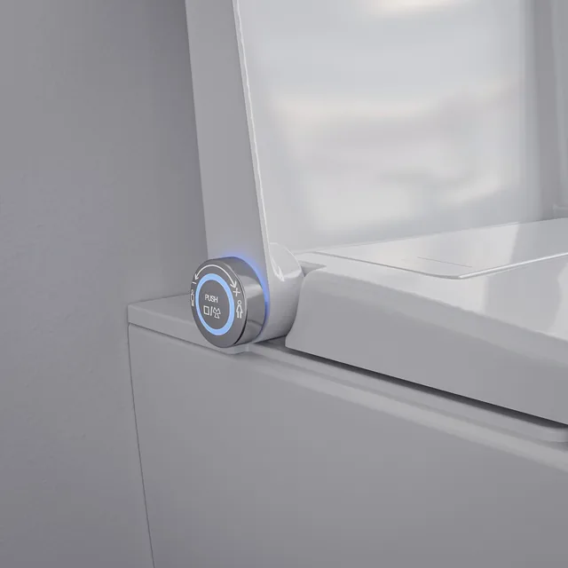 BERNSTEIN Basic 1104 (spoelrandloos douchetoilet, wandhangend) – Deksel dicht (2)