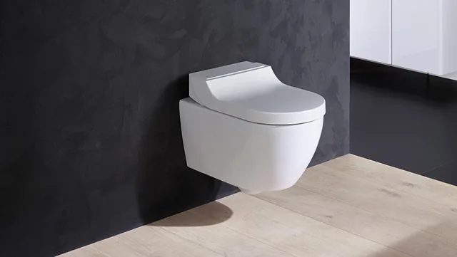 Geberit AquaClean Tuma Classic (losse wc-zitting) – In de badkamer