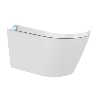 Homecare / HCI E410 Premium (compleet douchetoilet, wandhangend)