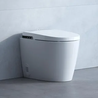 LAUFEN Cleanet ALVIA (compleet douchetoilet) – Detailfoto