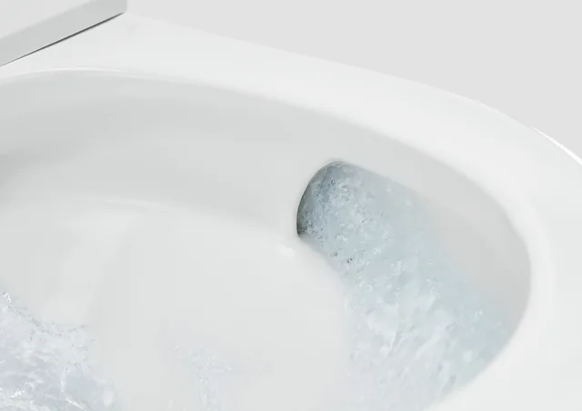 Roca In-Wash In-Tank Inspira (compleet, zonder inbouwreservoir) – Detail (1)