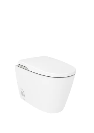 Roca In-Wash Insignia FS (staand douchetoilet)
