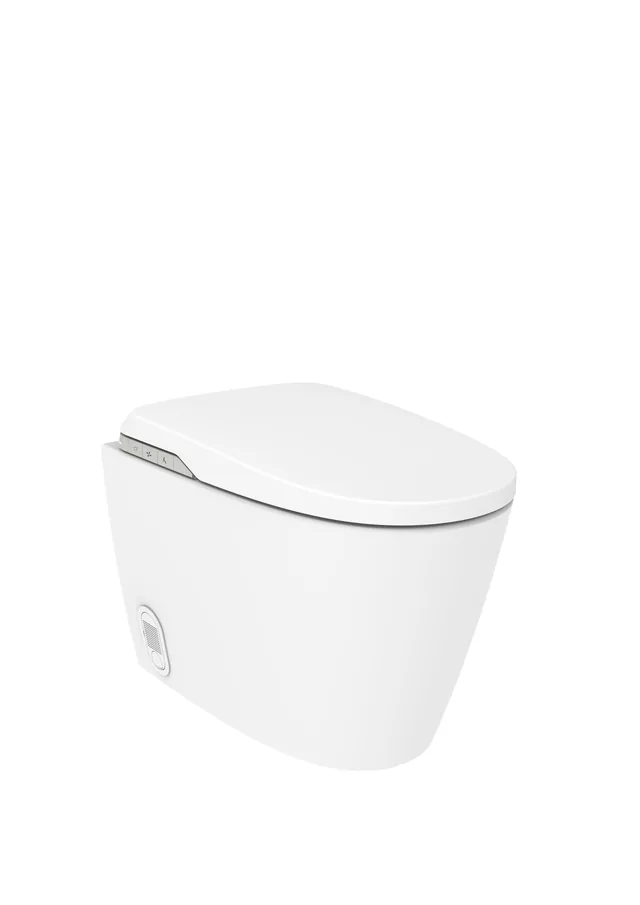 Roca In-Wash Insignia FS (staand douchetoilet)