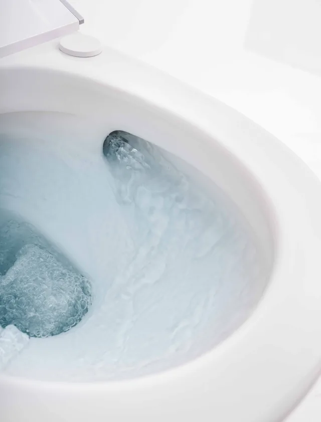 Roca In-Wash Insignia FS (staand douchetoilet) – Detail (1)