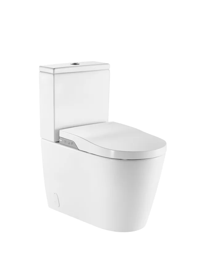 Roca In-Wash Inspira staand douchetoilet