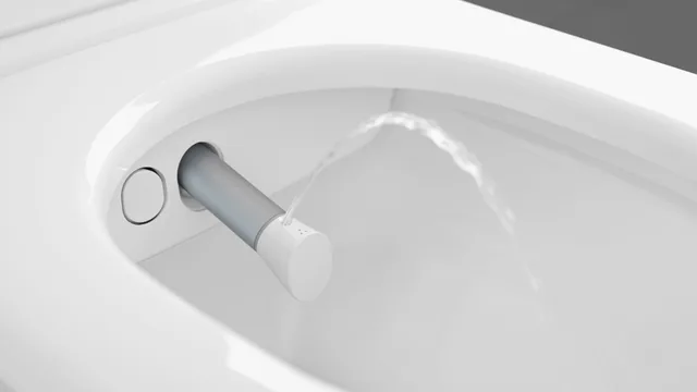 Villeroy & Boch ViClean-I 200 (compleet douchetoilet) – Detail